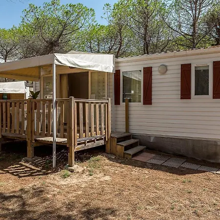 Attractive Mobile In With Shared Pool